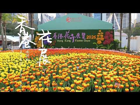 香港花卉展覽2026 花展人像 順便來個搶先版 #鬱金香 超美 Hong Kong Flower Show 2026 4K