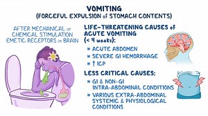 Video: Approach to vomiting (acute): Clinical sciences - Video Explanation! | Osmosis | Osmosis