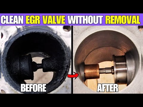 2 Easiest Ways on how to clean an egr valve without removing it(no mechanic needed)