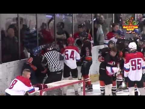 Referee assaulted in insane bench clearing brawl