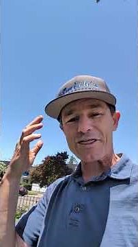 rodent inspection tips for best ways to get rid of rats!