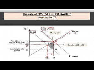 State Budget Lecture (6) Part (2): Case of Positive Externalities (Corrective Subsidy)