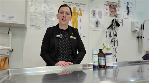 Not all heroes wear capes… some wear gloves 😉 Meet Alice, our incredible Embalmer who brings care, calm, and just the right amount of sass to the team. #BeauchampsCrew #BehindTheScenes | Beauchamps