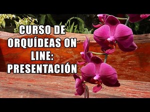 Online Orchid Course 2022: Presentation