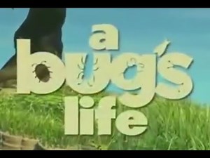 A Bug's Life - Disneycember