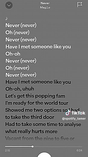 Never Song - Lyrics, Music, and More