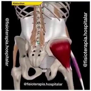 3.7K views · 132 reactions | TENSOR DA FÁSCIA LATA Coxa - Região...