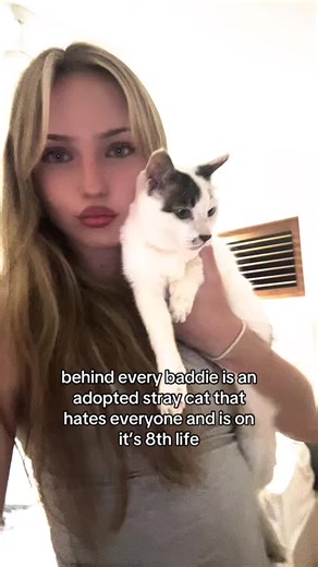 JoJo Siwa's Stray Cat Story: Adoption and Love