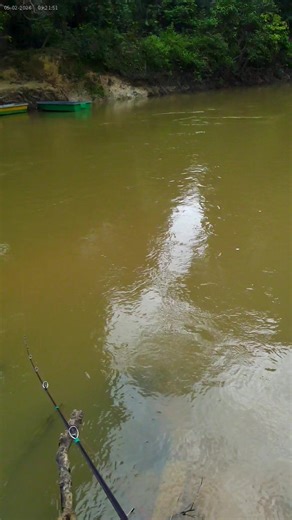 Rod : Taichi Death Hornet 1-6lb BC : Usopp (leydun) Mainline : Lemax x5 8lb Leader : Fluro 80% 20lb Lure : Minor sinking 6.5g Action Camera by KA-1 Remarks : Lucuttt 🤣🤣😅 #Pemburusebarausolo