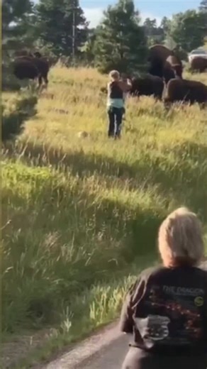 🌿 Millionaire Trophy Hunter Trampled by 5 Elephants75-year-old Ernie Dosio, a wealthy California vineyard owner and experienced big-game hunter, was killed on April 17 in Gabon’s dense Lope-Okanda rainforest. He wasn’t hunting elephants—he was tracking a small duiker when a protective herd of five females charged in thick brush. His guide was injured; Dosio, armed only with a shotgun, didn’t survive.With a trophy room full of lions, rhinos, and elephants, this $40k safari ended in tragedy. Soci