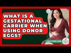 What Is A Gestational Carrier When Using Donor Eggs? - Fertility Support Channel