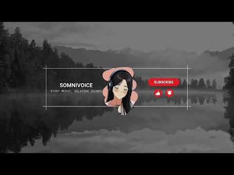 Rain 10 Hours Live Stream