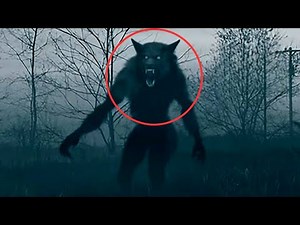 Des images TERRIFIANTES de Caméra de Chasse qui peuvent vous faire peur