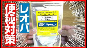 【超おすすめ！】レオパの便秘対策、レプラーゼ使ってみたら効果がすごかった！
