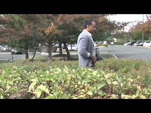 World Toilet Day: In a World Without Toilets...