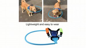 Blind Dog Harness Adjustable Halo Anti-Collision Vest Guide