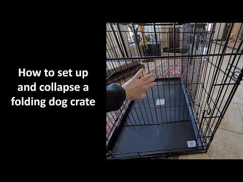 How to set up and collapse a wire dog crate