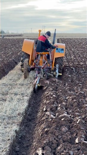 Orange Fordson at the Glenbervie and Howe o'the Mearns Ploughing Association ploughing match 2025