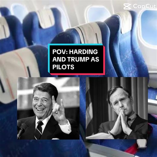 POV: HARDING AND TRUMP AS PILOTS @Warren G. Harding @Donald Trump 🇺🇸 #fyp #uspresidents #capcut #donaldtrump #warrengharding