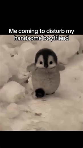 Relatable Couple Moments to Brighten Your Day