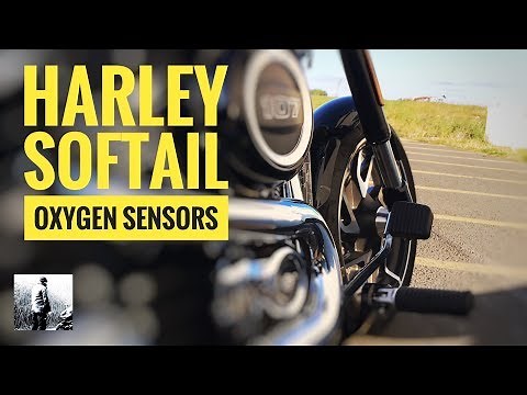 Where Are Harley Softail Sport Glide Oxygen Sensors Located