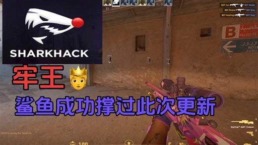 牢鲨鱼又成功撑过游戏更新，推荐几套官方cfg换肤预设依旧能用