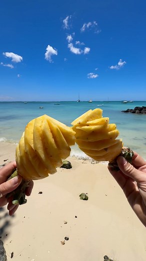 Another tasty day in Mauritius #mauritius #mauritiusexplored #mauritiusisland #moment #beaches # | Mauritius Explored