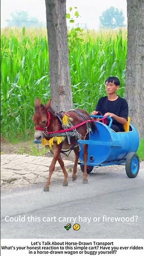 Driving a Simple Horse-Drawn Cart – Old-Fashioned Country Ride 🐴