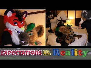 Furry Cons: Expectations vs Reality