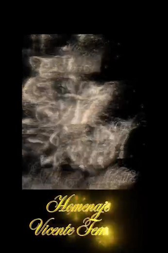 4.6K views · 22 reactions | #Mariachis #ElsombreronTunja Se viene el festival de mariachis #1 de Tunja, este 7 de Noviembre, No te lo puedes perder! | Alter-Nativa T.V. | Facebook