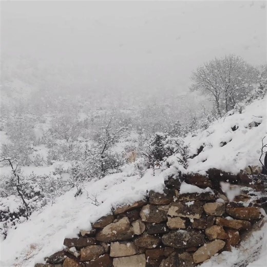 1M views · 10K reactions | Winter bushcraft survival camping #fblifestyle #camping #winter #nature #asmr #wildlife | Mr. Sulo | Facebook