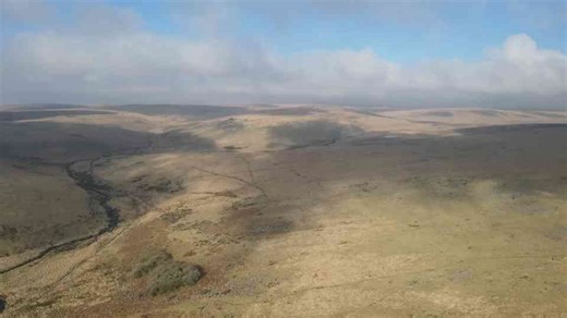 England's green desert is spreading faster than anyone realizes