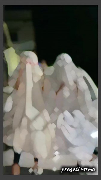 Pragati Verma: La Éxito de su Video en TikTok