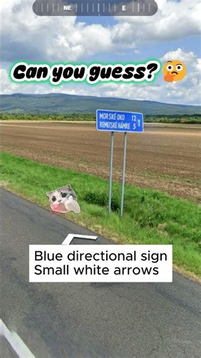 This blue sign tells you the country! (Sign) 🌍 #GeoGuessr