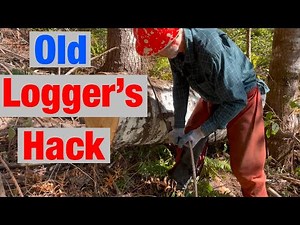 Advanced Ninja Logging Technique