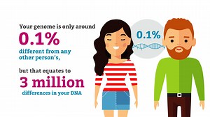 Genomics Fun Facts: Genetic Differences