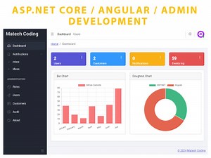 Professional custom web application using ASP.NET and Angular