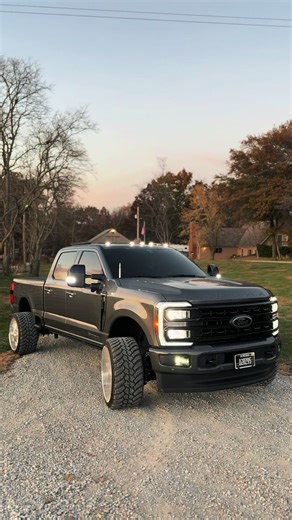 Buddy Hits a Fly: A Fun Twist on Everyday Life