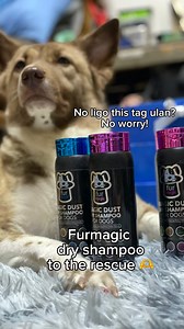 "Hello furparents worried ka ba na di makaligo ang inyong furbabies this rainy season? Worry no more. Furmagic dry shampoo to the rescue. Super long lasting bango at feeling fresh all day. This is highly recommended." 📷 : Lala and Java 💌Start the magical transformation now! Get your Furmagic Collection at 🛒TikTok, Shopee and Lazada TikTok: https://bit.ly/49rgzN2 Shopee: https://ph.shp.ee/TAjbor6 Lazada: https://s.lazada.com.ph/s.l2hiy and at Pet Stores Nationwide #FurmagicTransformation | Fur