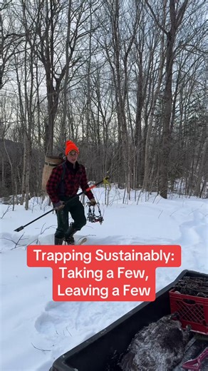 Trappers and hunters are the backbone of wildlife conservation in America. These groups, guided by modern wildlife science understand the need to harvest sustainably. By harvesting, only a few animals, we can ensure that there are ample individuals left to sustain healthy populations. The individuals left will experience reduced competition, decreased disease prevalence, and an increase in resource availability. At the same time, we receive both food and fur from free ranging wild game without h