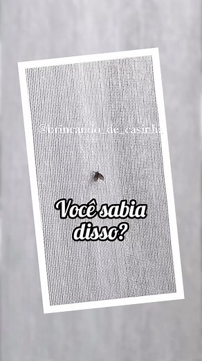 Adriana Fernandino / Dicas De Casa | Aqui o motivo destas mosquitinhos aparecerem e como acabar com eles? . ✅ Se na sua casa aparece muito, seu banheiro pode não estar... | Instagram
