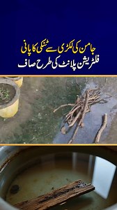 1.4K views · 38 reactions | Jamun Wood Turns Water Tank into Natural...