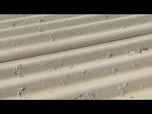 How to clean lichen on your roof