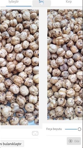 Adobe Capture ne işe yarar?