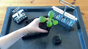 In this video, Niki Jabbour discusses soil blocking, an easy, potless way to start vegetable, flower and herb seeds indoors. Niki talks about the benefits of this method and shows how use soil cube molds to produce healthy seedlings. Browse our Propagation guide for more: https://www.leevalley.com/OnlineCatalog.aspx?did=esp23enc&lang= | Lee Valley Tools