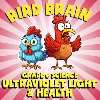 Ultraviolet Light & Health BIRD BRAIN Science Game - No Prep Grade 6 Review