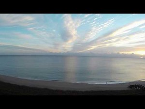 Manatee on Live Florida Beach Cam - Jensen Beach FL Live WebCam [HD]