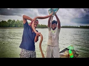 আজ সুন্দরবনে বৃষ্টির দিনে,মাছ ধরার অনুভূতিটাই আলাদা ছিল 🙂!!!