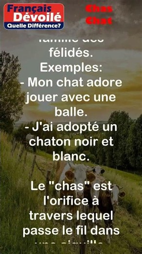 Chas and Chat (What a Difference!) #shorts