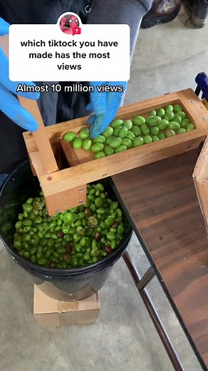 Olive Press ASMR: A Middle Eastern Culinary Delight